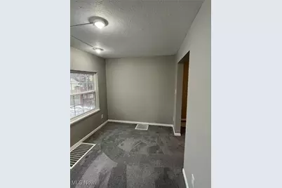 9514 Kirkwood Avenue, Loveland, OH 44102 - Photo 13