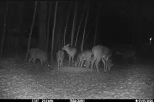 6199 Vandemark Rd, Medina, OH 44256 - Photo 49