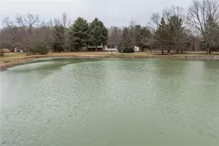 6199 Vandemark Rd, Medina, OH 44256 - Photo 3