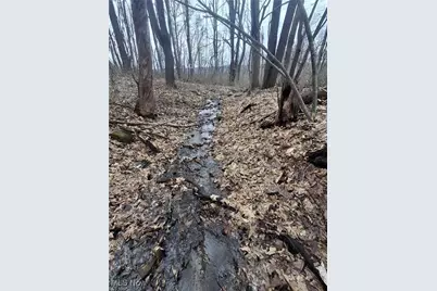 0 Addison Road, Brookfield, OH 44403 - Photo 27