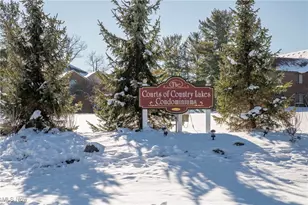 8621 Scenicview Dr, Grandview Heights, OH 44147 - Photo 35