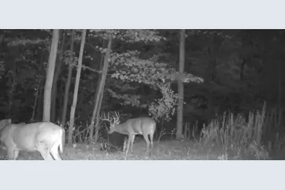 1054 Bergholz Road SE, Mechanicstown, OH 43908 - Photo 9