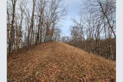 1054 Bergholz Road SE, Mechanicstown, OH 43908 - Photo 23