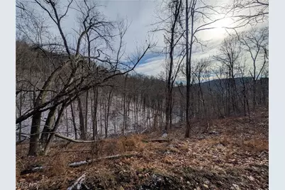 1054 Bergholz Road SE, Mechanicstown, OH 43908 - Photo 21