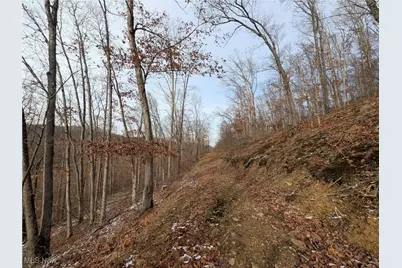 1054 Bergholz Road SE, Mechanicstown, OH 43908 - Photo 31