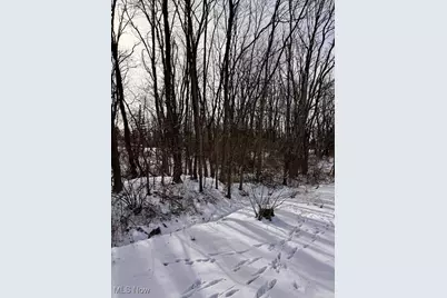 V/L Hartman Road, Wadsworth, OH 44281 - Photo 3