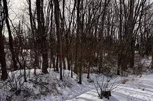 V/L Hartman Rd, Wadsworth, OH 44281 - Photo 3