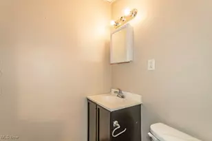 813 Wayside Rd, Loveland, OH 44110 - Photo 19