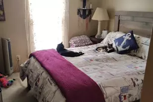 2447 Linwood, Ashtabula, OH 44004 - Photo 7