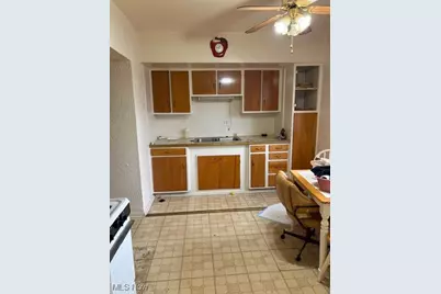 310 Vaniman Street, Akron, OH 44305 - Photo 19