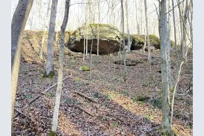 88 Ivy Road, Gandeeville, WV 25243 - Photo 15