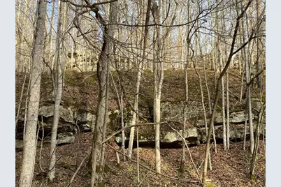 88 Ivy Road, Gandeeville, WV 25243 - Photo 19