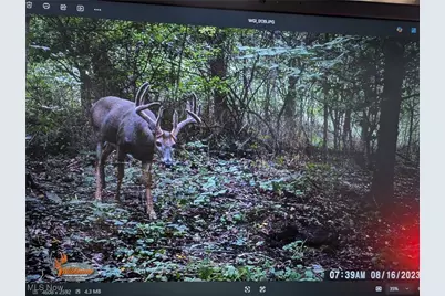 12025 Pleasant Valley Road, Frazeysburg, OH 43822 - Photo 27