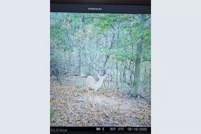 12025 Pleasant Valley Road, Frazeysburg, OH 43822 - Photo 29