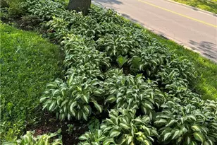 441 E College St, Oberlin, OH 44074 - Photo 5