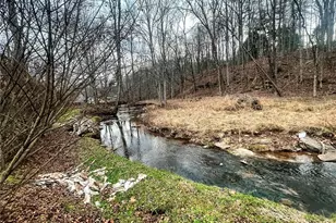 4362 Charleston Rd, Gandeeville, WV 25243 - Photo 19