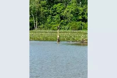 110 Wheeler Drive, Huron, OH 44839 - Photo 5