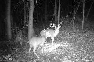 14252 State Route 83, Coshocton, OH 43812 - Photo 1