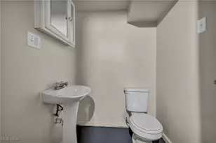 10213 Dove Ave, Loveland, OH 44105 - Photo 29