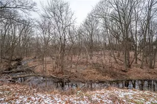 3990 Claridge Dr, Austintown, OH 44511 - Photo 49