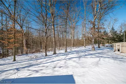 2998 Whispering Pines Drive, Canfield, OH 44406 - Photo 45