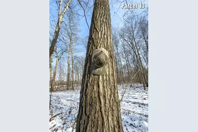 0 Hinton Mill Road, Marysville, OH 43040 - Photo 45