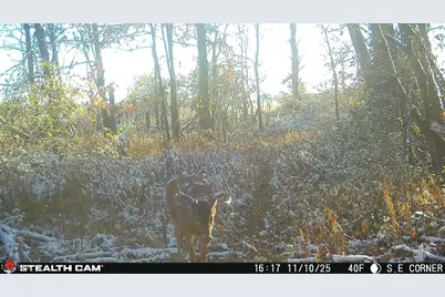 0 Hinton Mill Road, Marysville, OH 43040 - Photo 49