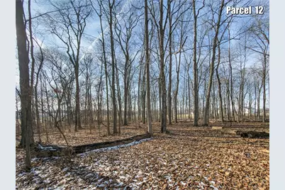 0 Hinton Mill Road, Marysville, OH 43040 - Photo 19