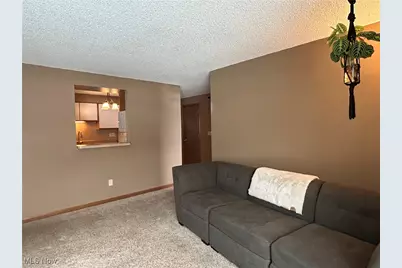 6231 Hidden Creek Drive #233, Lorain, OH 44053 - Photo 5