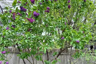 1381 Park Row, Oakwood, OH 44107 - Photo 35