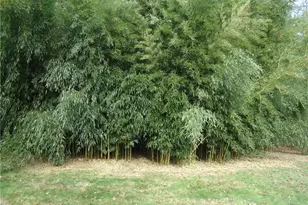 264 Kent Dr, Tallmadge, OH 44278 - Photo 13