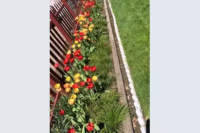 7005 Park Avenue, Loveland, OH 44105 - Photo 23