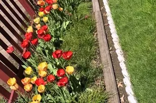 7005 Park Ave, Loveland, OH 44105 - Photo 23