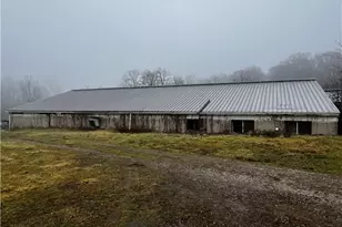 2195 Township Rd 405, Jeromesville, OH 44840 - Photo 11