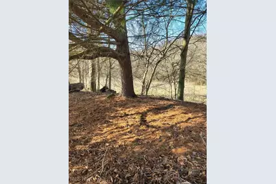 2771 S River Road, Stockport, OH 43787 - Photo 9