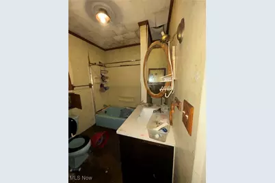 7207 Ivy Avenue, Loveland, OH 44127 - Photo 11