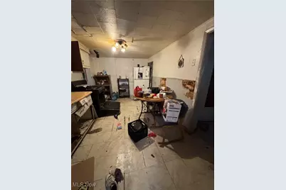 7207 Ivy Avenue, Loveland, OH 44127 - Photo 7