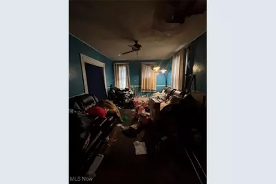 7207 Ivy Avenue, Loveland, OH 44127 - Photo 9