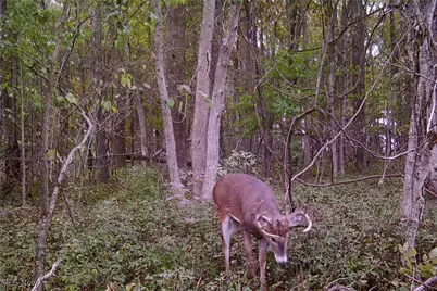 0 Township Rd 223, New Lexington, OH 43764 - Photo 15