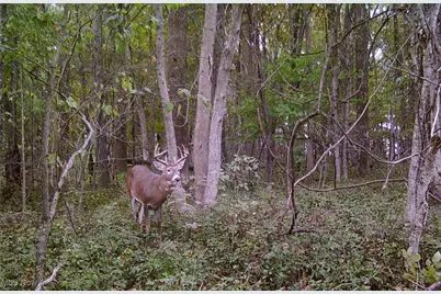 0 Township Rd 223, New Lexington, OH 43764 - Photo 17