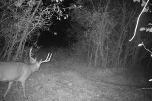 35447 Co Rd 99, Warsaw, OH 43844 - Photo 1