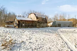 15216 Grove Road SE, Port Washington, OH 43837 - Photo 49