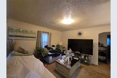 11019 Avon Avenue, Loveland, OH 44105 - Photo 3