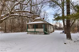 442 7th St SW, Warren, OH 44485 - Photo 11