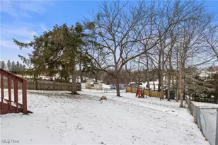 341 Springdale Ave, Steubenville, OH 43953 - Photo 39