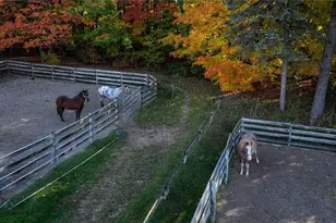 30875 Cannon Rd, Solon, OH 44139 - Photo 9