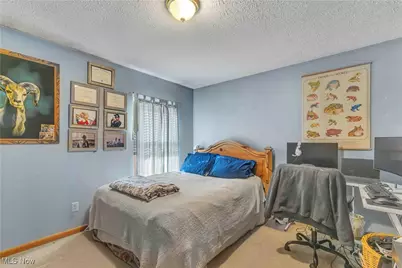 704 Black Bear Run, LaGrange, OH 44050 - Photo 35