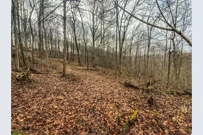 0 New Cut Rd, Shadyside, OH 43947 - Photo 19