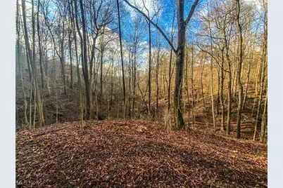 0 New Cut Rd, Shadyside, OH 43947 - Photo 3