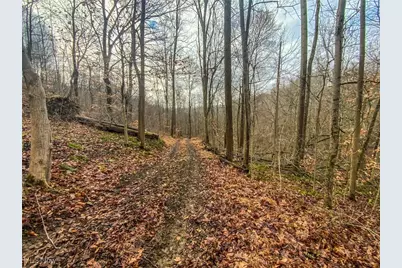 0 New Cut Rd, Shadyside, OH 43947 - Photo 5